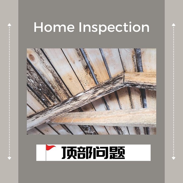 How to Avoid Regrets: Key Red Flags in Home Inspection Reports