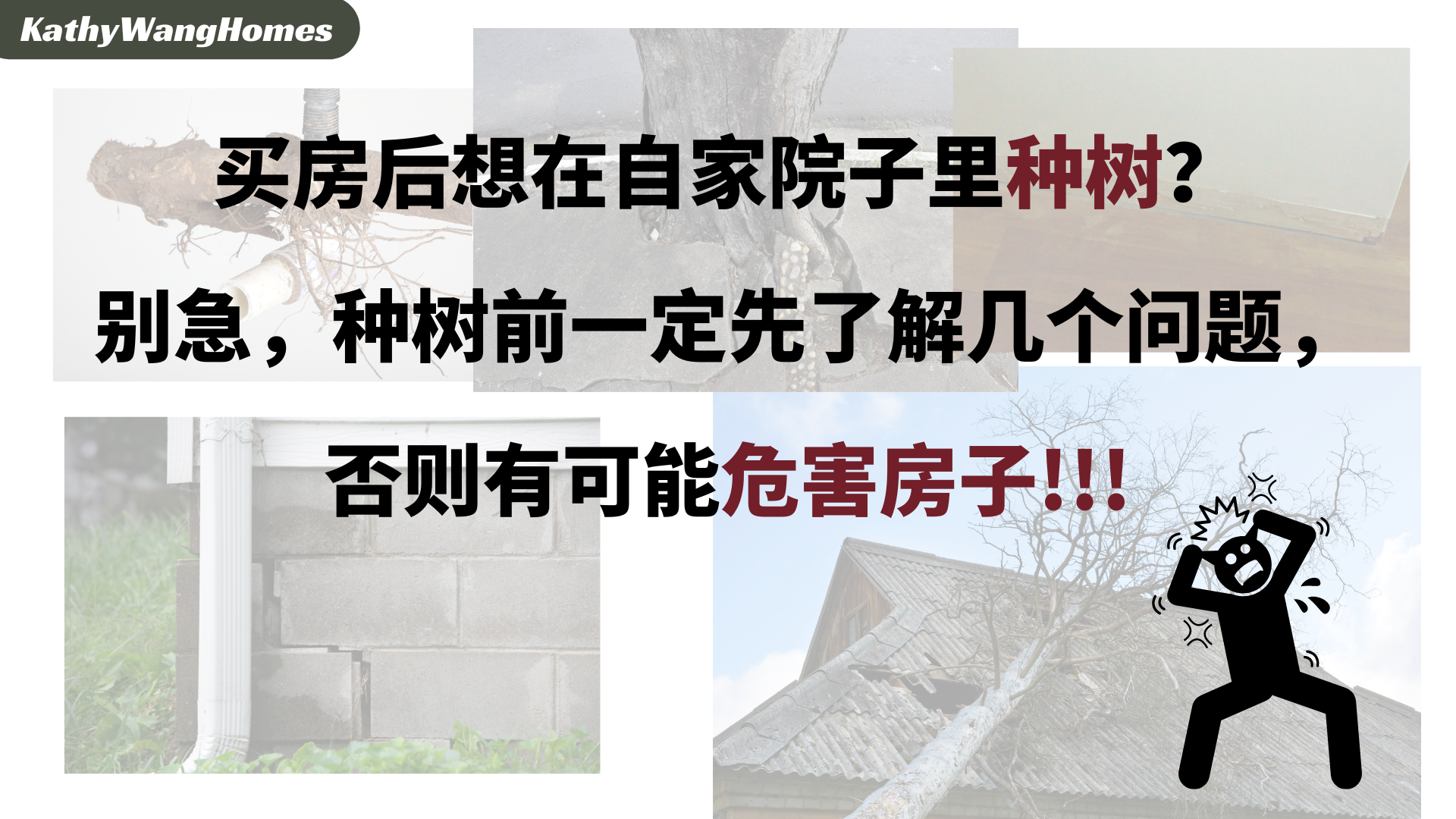 买房后想在自家院子里种树？别急，种树前一定先了解几个问题，否则有可能危害房子